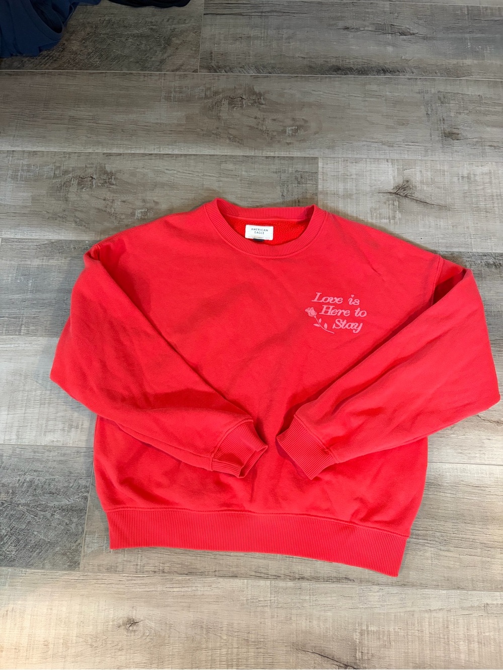 American Eagle Outfitters Red Crewneck Sweatshirt with Chest Embroidery